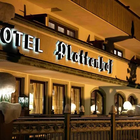 Hotel Plattenhof
